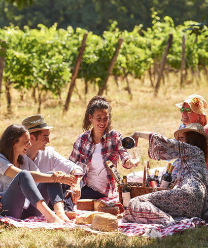 Picnic in the Vineyards