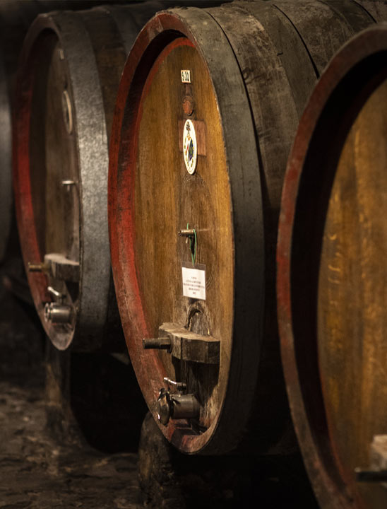 Our cellars, our wine production